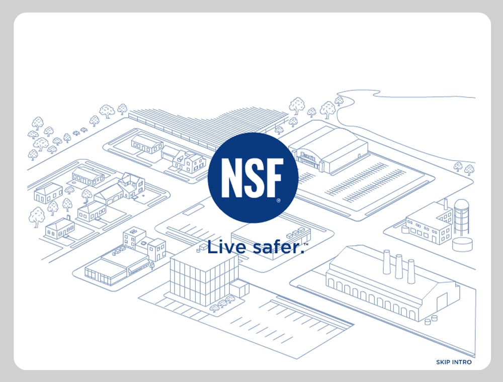 screenshot of NSF Safetytown CD