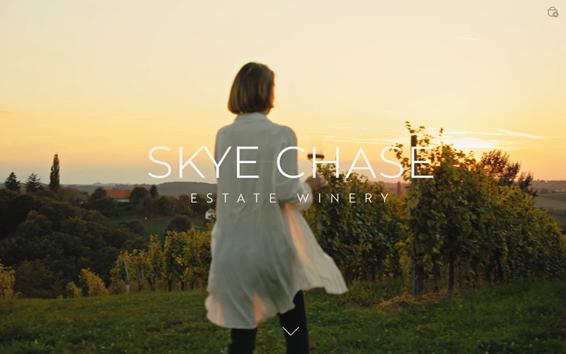 cropped image of Skye Chase website